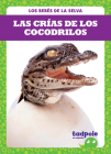 Las Crías de Los Cocodrilos (Crocodile Hatchlings) By Genevieve Nilsen Cover Image