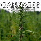 Cannabis Calendar 2022: 16-Month Calendar, Cute Gift Idea For Marijuana Lovers & Smokers Men And Women By Anxious Garage Press Cover Image