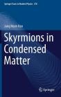 Skyrmions in Condensed Matter (Springer Tracts in Modern Physics #278) Cover Image