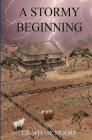 A Stormy Beginning Cover Image