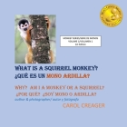 What Is a Squirrel Monkey Cover Image