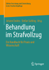 Behandlung Im Strafvollzug: Ein Handbuch Für Praxis Und Wissenschaft (Edition Forschung Und Entwicklung in Der Strafrechtspflege) By Johann Endres (Editor), Stefan Suhling (Editor) Cover Image