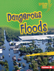 Dangerous Floods By Carol Kim Cover Image