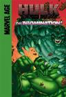 Abomination! (Hulk) By Mike Raicht, Ryan Udagawa (Illustrator) Cover Image