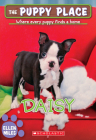 Daisy (The Puppy Place #38) By Ellen Miles Cover Image