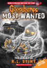 The Haunter (Goosebumps Most Wanted Special Edition #4) Cover Image