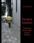 Imagine Istanbul: The Search for the Little Boy of Istanbul Cover Image