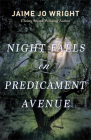 Night Falls on Predicament Avenue Cover Image