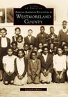 African-American Education in Westmoreland County (Images of America (Arcadia Publishing)) By Cassandra Burton Cover Image