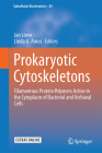 Prokaryotic Cytoskeletons: Filamentous Protein Polymers Active in the Cytoplasm of Bacterial and Archaeal Cells (Subcellular Biochemistry #84) Cover Image