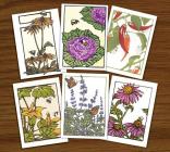 Bees, Butterflies & Blooms Assortment (B: Boxed Set of 6 Cards By Bruce Smith, Yoshiko Yamamoto (Artist) Cover Image