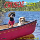 Crusoe the Celebrity Dachshund 2023 Mini Wall Calendar By Ryan Beauchesne (Created by) Cover Image