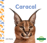 Caracal Cover Image