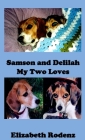 Samson and Delilah By Elizabeth Rodenz Cover Image