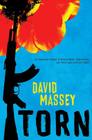Torn By David Massey Cover Image