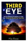 Third Eye: Third Eye Awakening For Beginners in 5 Easy Steps - Activate And Decalcify Your Pineal Gland By Mia Rose Cover Image