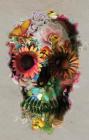 Floral Skull By Brent Crosby (Other) Cover Image