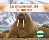 La Migración de la Morsa (Walrus Migration) (Spanish Version) By Grace Hansen Cover Image