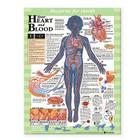 Blueprint for Health Your Heart and Blood Chart Cover Image
