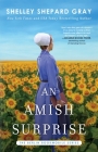 An Amish Surprise (Berlin Bookmobile Series, The  #2) Cover Image