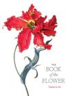 The Book of the Flower: Flowers in Art By Angus Hyland, Kendra Wilson Cover Image