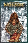 The Complete Witchblade Volume 1 Cover Image