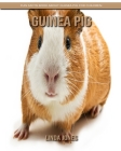 Guinea Pig: Fun Facts Book about Guinea Pig for Children By Linda Jones Cover Image