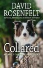 Collared (Andy Carpenter Mystery) By David Rosenfelt Cover Image