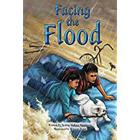 Steck-Vaughn Pair-It Books Proficiency Stage 5: Leveled Reader Bookroom Package Facing the Flood Cover Image