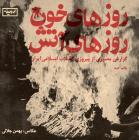 Jalali: Days of Blood, Days of Fire By Bahman Jalali (Artist) Cover Image