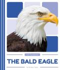 The Bald Eagle By Brittany Cesky Cover Image