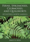 Ferns, Spikemosses, Clubmosses, and Quillworts of Eastern North America (Princeton Field Guides #150) By Emily Sessa Cover Image