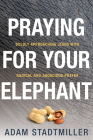 Praying for Your Elephant: Boldly Approaching Jesus with Radical and Audacious Prayer By Adam Stadtmiller Cover Image