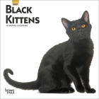 Black Kittens 2021 Mini 7x7 Cover Image