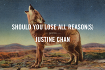 Should You Lose All Reason(s) By Justine Chan Cover Image