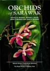 Orchids of Sarawak By Teofila E. Beaman, Jeffrey J. Wood, Reed S. Beaman, John H. Beaman Cover Image