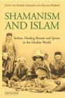 Shamanism and Islam: Sufism, Healing Rituals and Spirits in the Muslim World By Thierry Zarcone (Editor), Angela Hobart (Editor) Cover Image