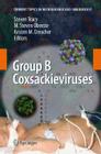 Group B Coxsackieviruses (Current Topics in Microbiology and Immmunology #323) Cover Image