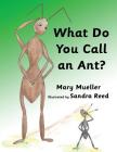What Do You Call An Ant Cover Image