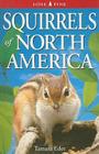 Squirrels of North America By Tamara Eder Cover Image