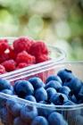 Berries: Berries Are Typically Juicy, Rounded, Brightly Colored, Sweet or Sour, and Do Not Have a Stone or Pit, Although Many P Cover Image