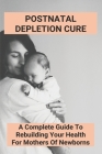 Postnatal Depletion Cure: A Complete Guide To Rebuilding Your Health For Mothers Of Newborns: Nurturing Mothers Program Plymouth Cover Image