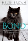 Bono: The Amazing Story of a Rescue Cat Who Inspired a Community By Helen Brown Cover Image