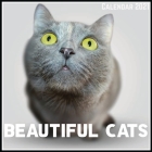 Beautiful Cats Calendar 2021: Official Beautiful Cats Calendar 2021, 12 Months By Print Art Factory Cover Image