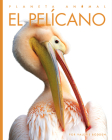 El pelícano (Planeta animal) By Valerie Bodden Cover Image