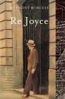 Re Joyce By Anthony Burgess Cover Image