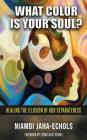 What Color Is Your Soul?: Healing The Illusion Of Our Separateness By Niambi Jaha-Echols Cover Image