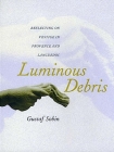 Luminous Debris: Reflecting on Vestige in Provence and Languedoc Cover Image