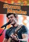 Shawn Mendes By Robin Johnson Cover Image