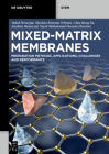 Mixed-Matrix Membranes: Preparation Methods, Applications, Challenges and Performance Cover Image